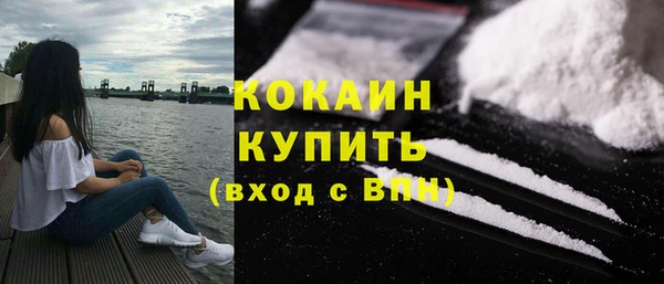 прущие грибы Приозерск