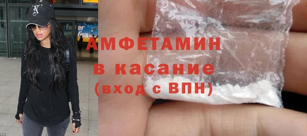 прущие грибы Приозерск