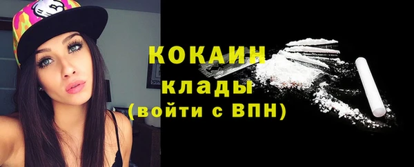 прущие грибы Приозерск