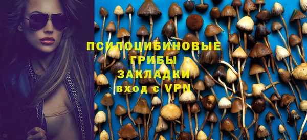 прущие грибы Приозерск