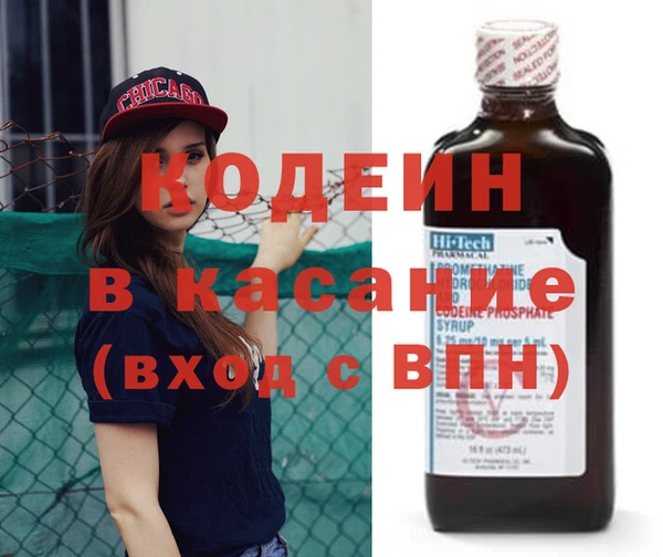 прущие грибы Приозерск