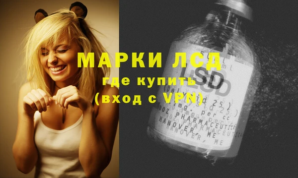 прущие грибы Приозерск