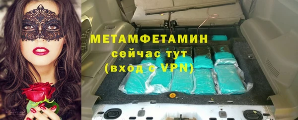 прущие грибы Приозерск