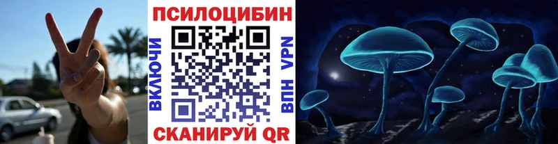 Псилоцибиновые грибы мухоморы  мега как зайти  Тайшет  где продают наркотики 