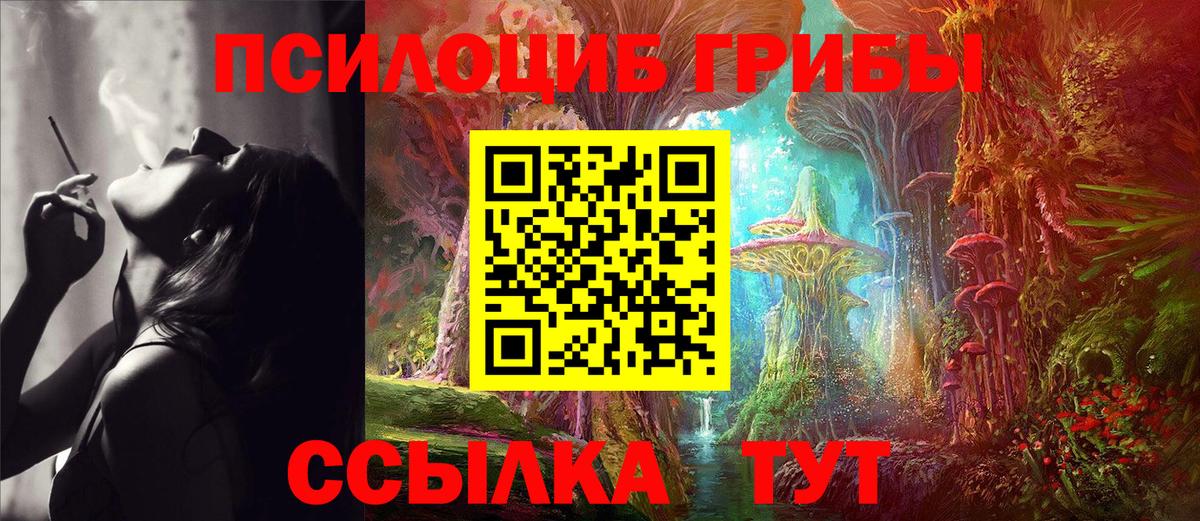 Галлюциногенные грибы Psilocybe  Вход с VPN  Галлюциногенные грибы Psilocybine cubensis  Тайшет 