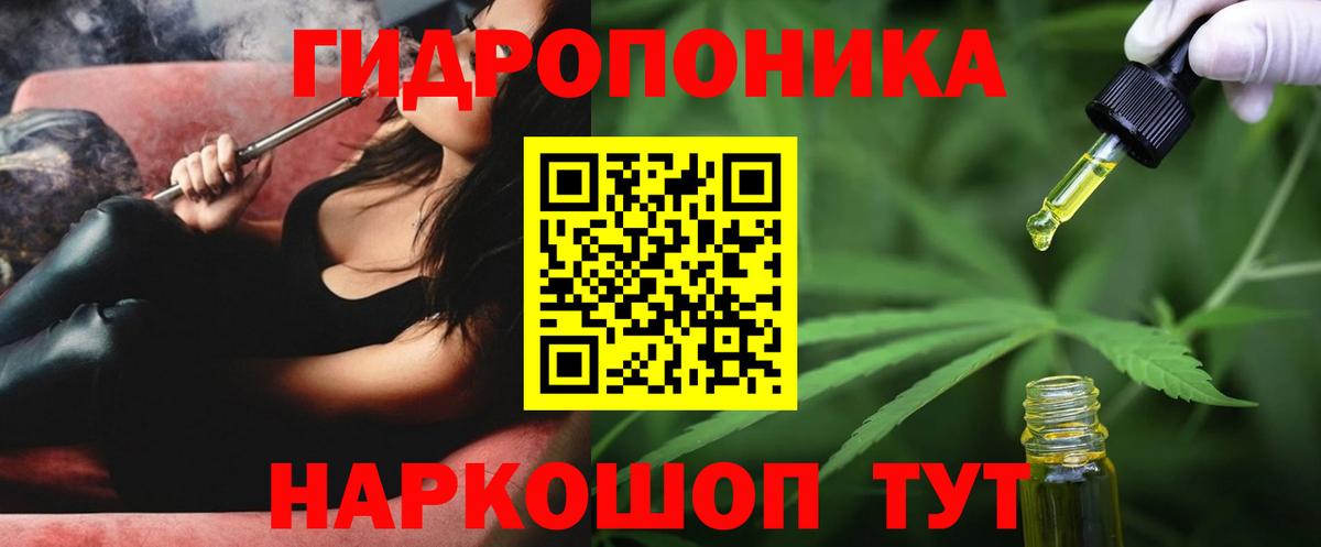 Конопля конопля Тайшет